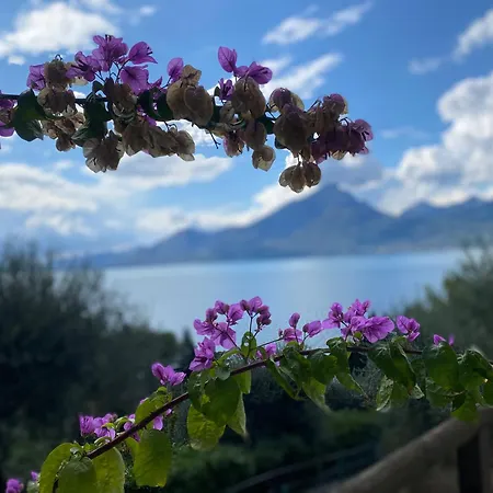 100 Meter Vom Gardasee * Pai